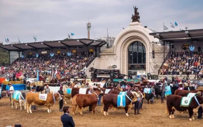 Ya a las puertas de  la Ganadera´24