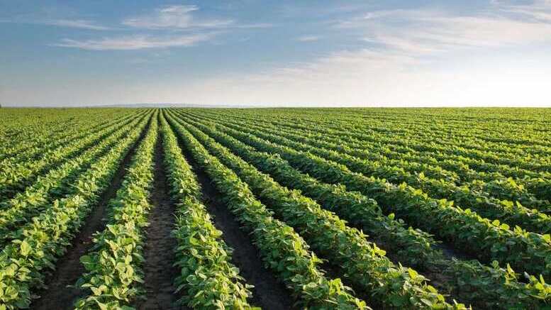 ¿Ahora el campo ayuda al ambiente…?